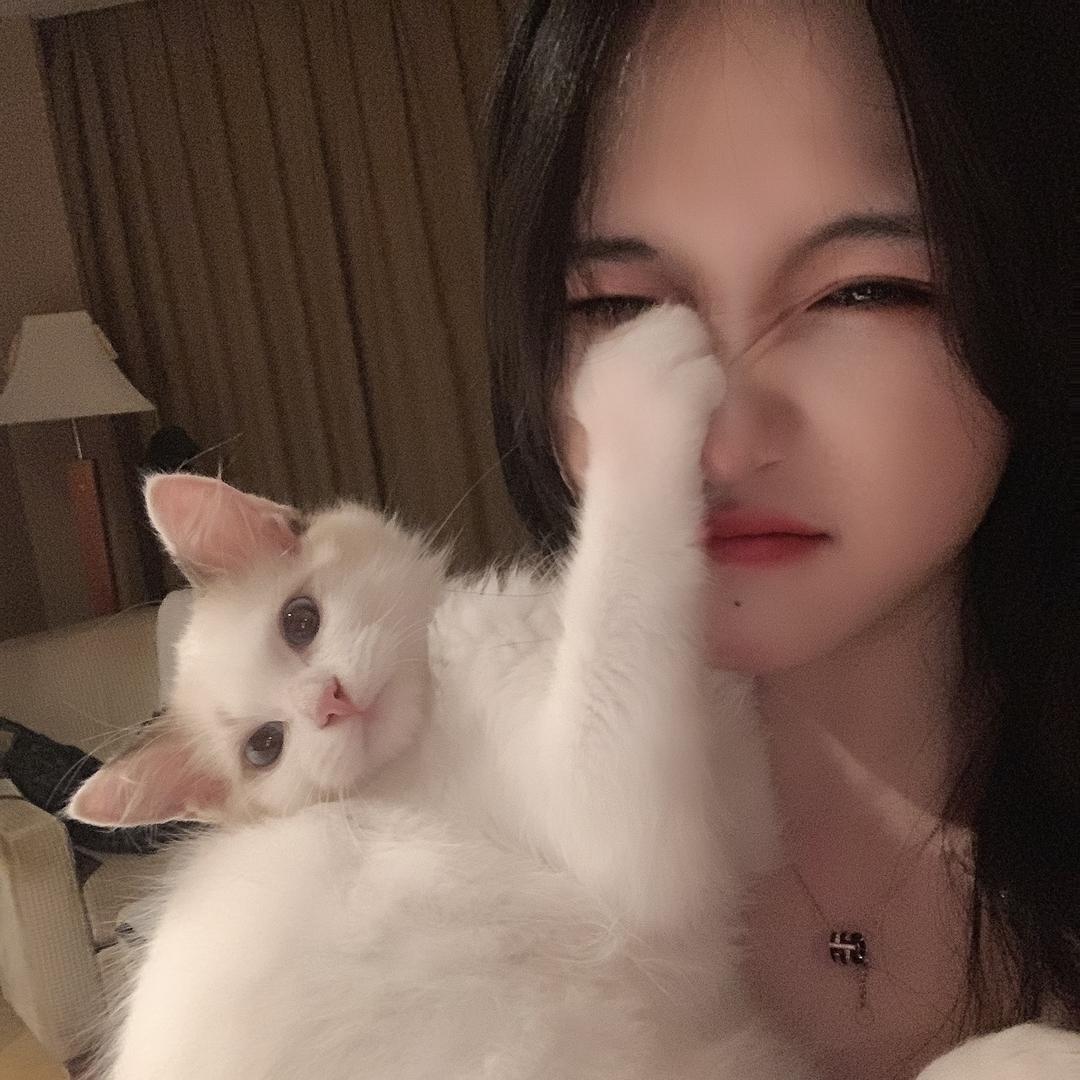 小点点
