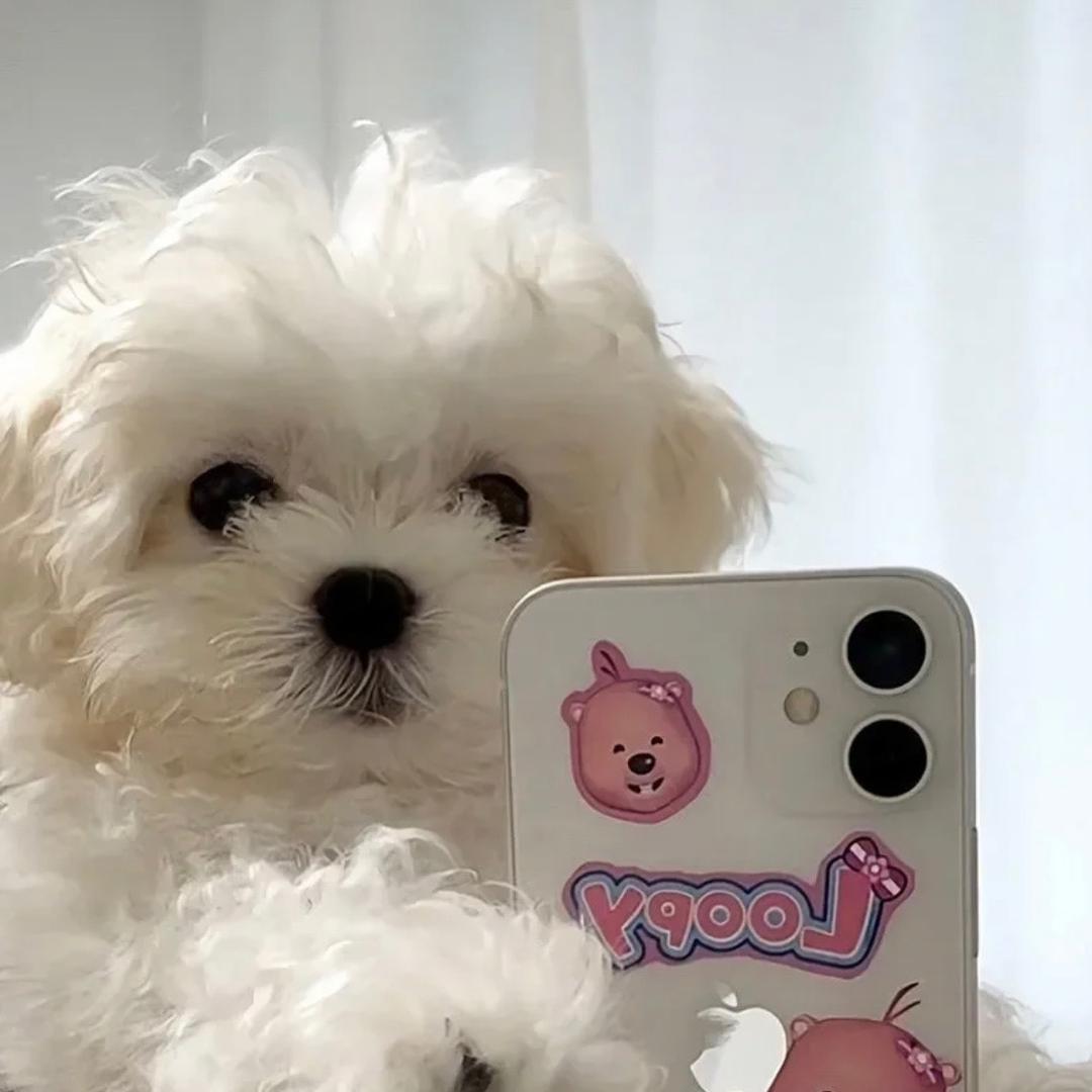 𝗟𝗸𝗺𝗶𝗻𝗻𝗼𝘄