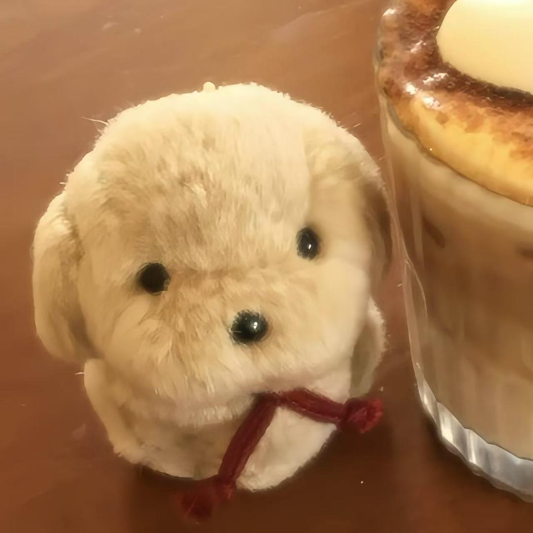 长矛沾屎戳谁谁死ㅤ