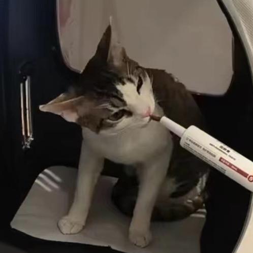 皮蛋家火锅米线