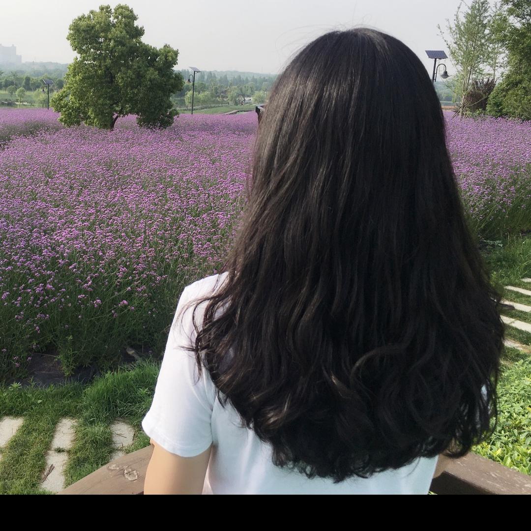 燕子