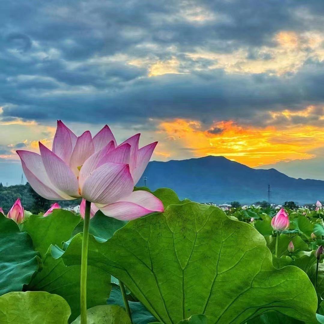 六顺阁1