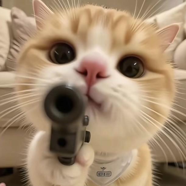 猫♡猫