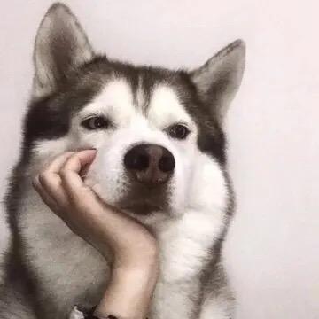 钢镚电影