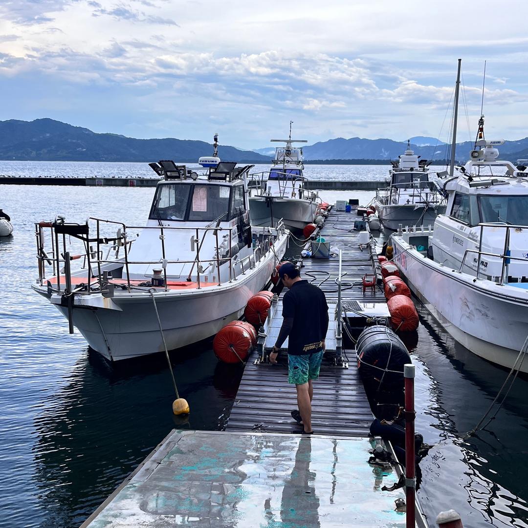 求鱼得蛙🎣哒啦滴哒