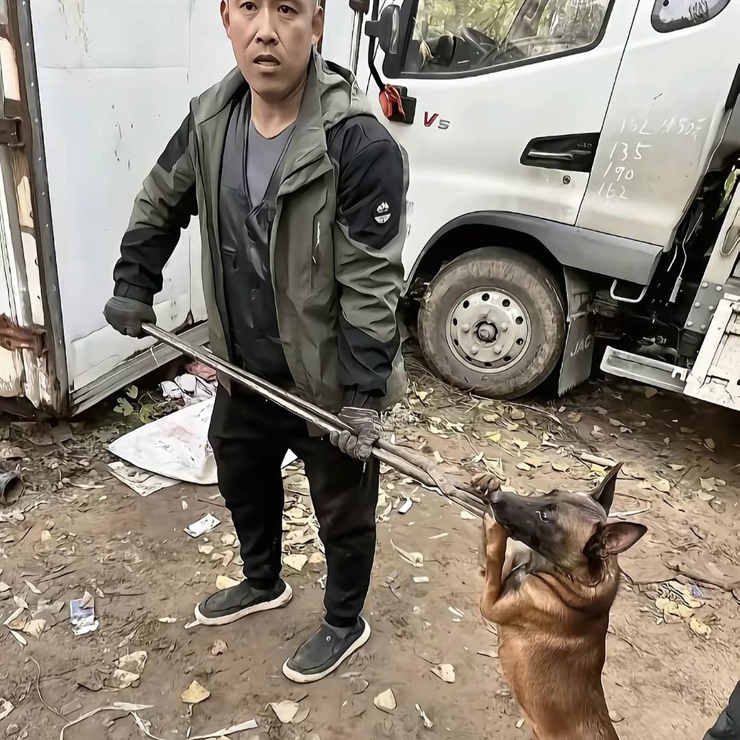 AAA专业套狗30年