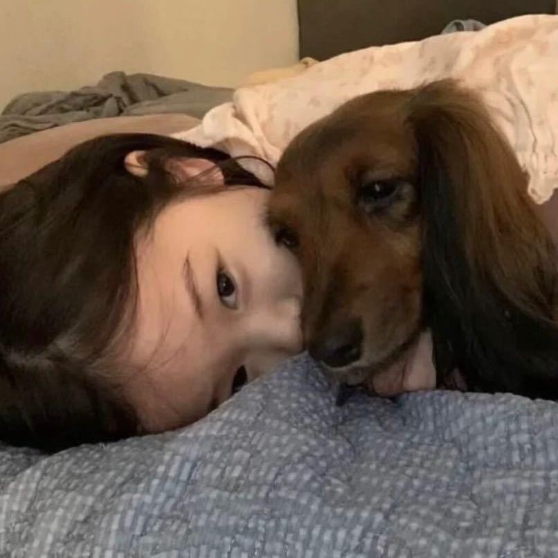 脸脸.