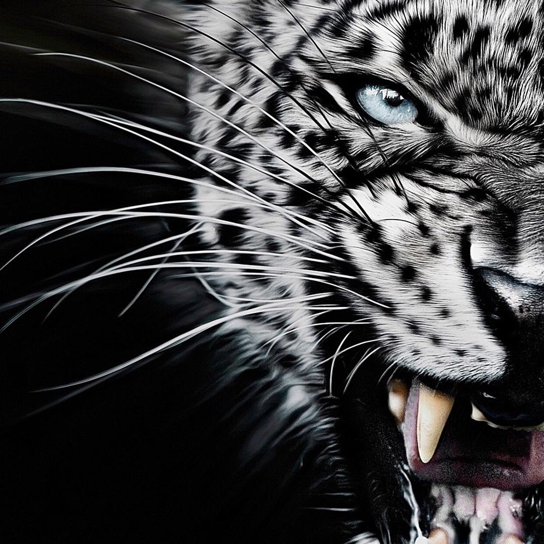 🍟薯条大汉堡🍔