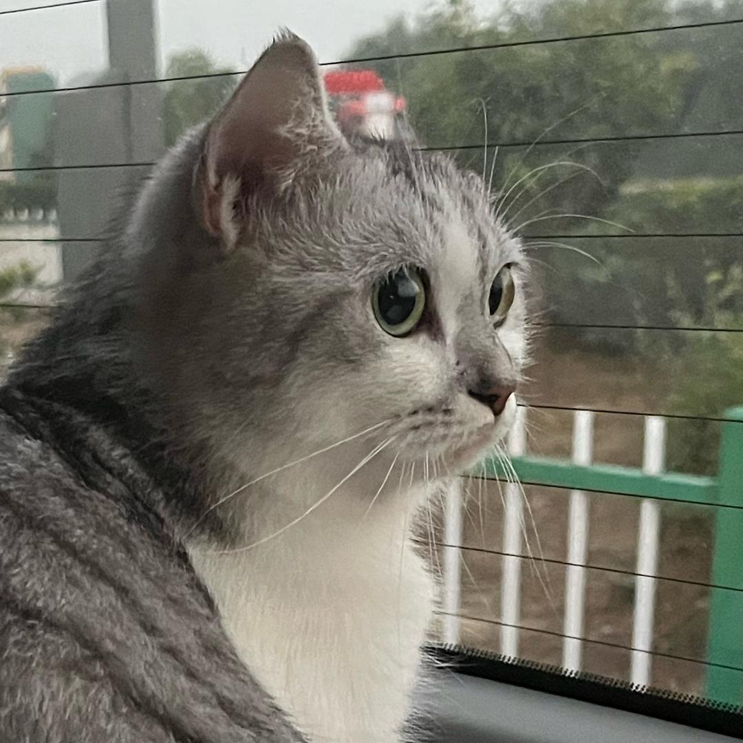 1807（内向主播努力ing…