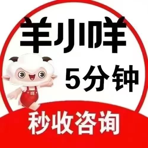 羊小咩数码回收