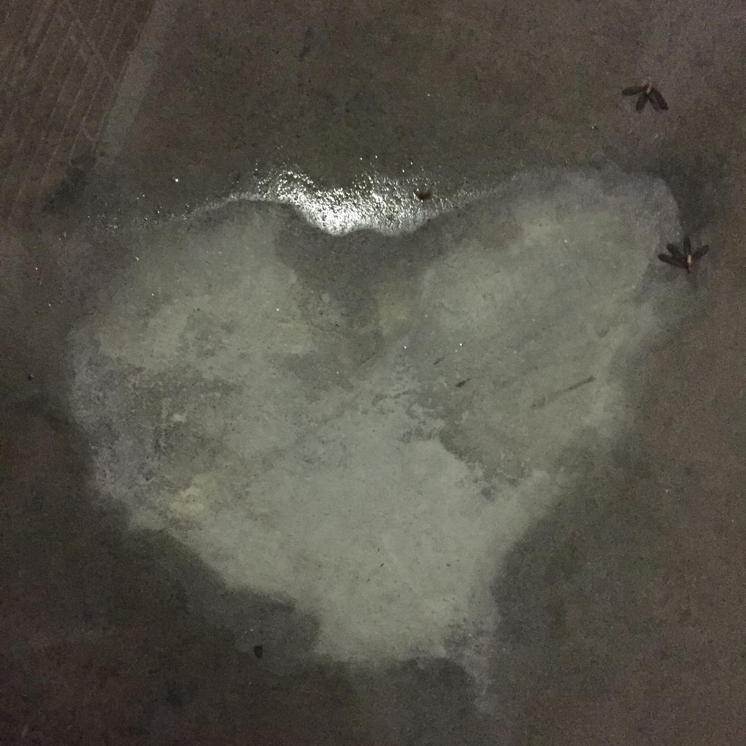 程霜