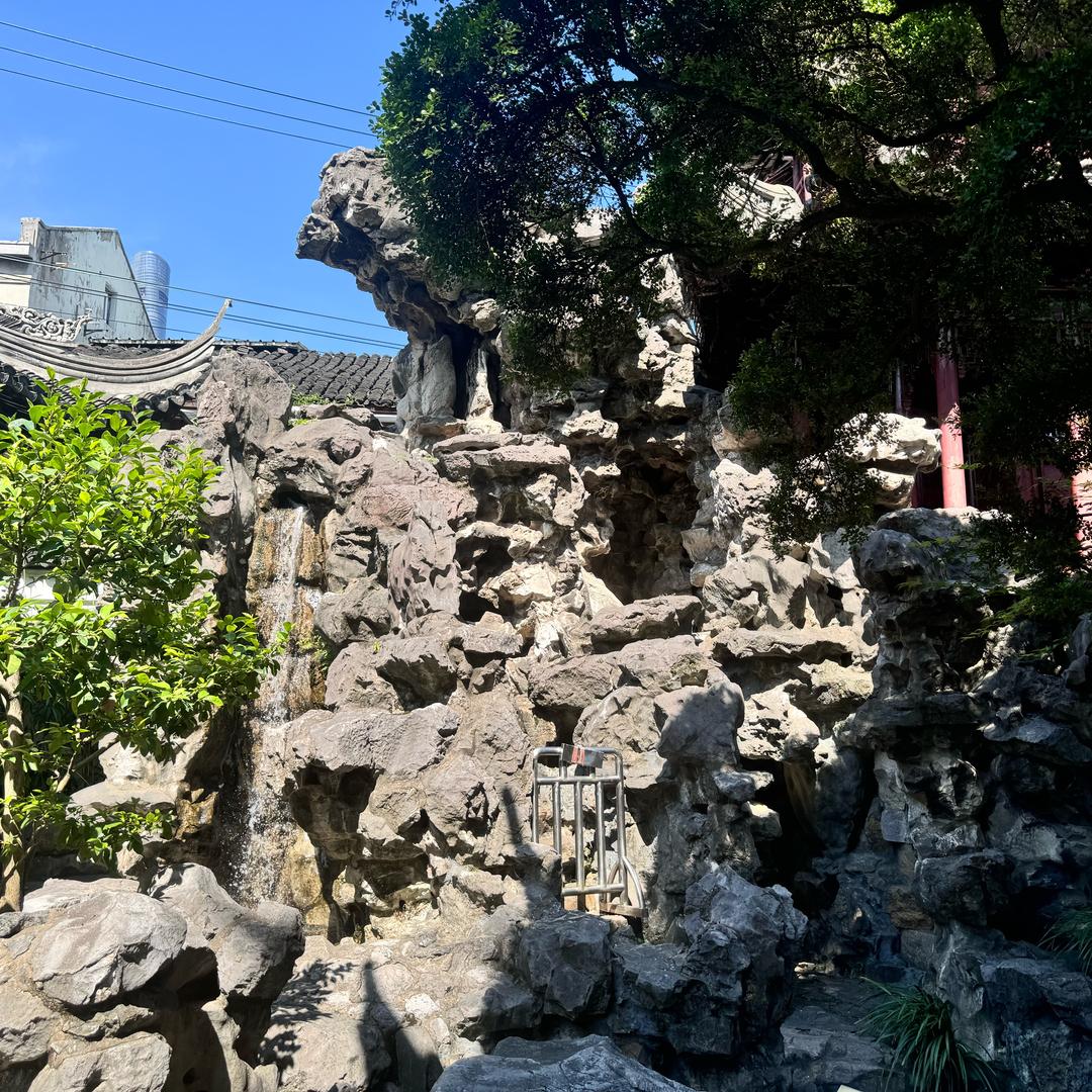 日光倾城