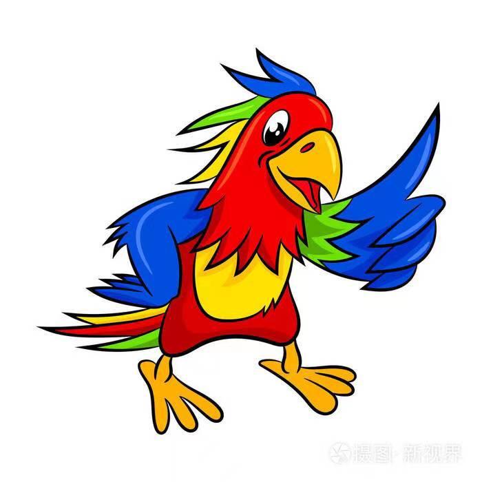 老鸟