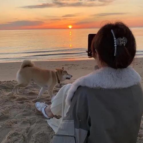 菁宜