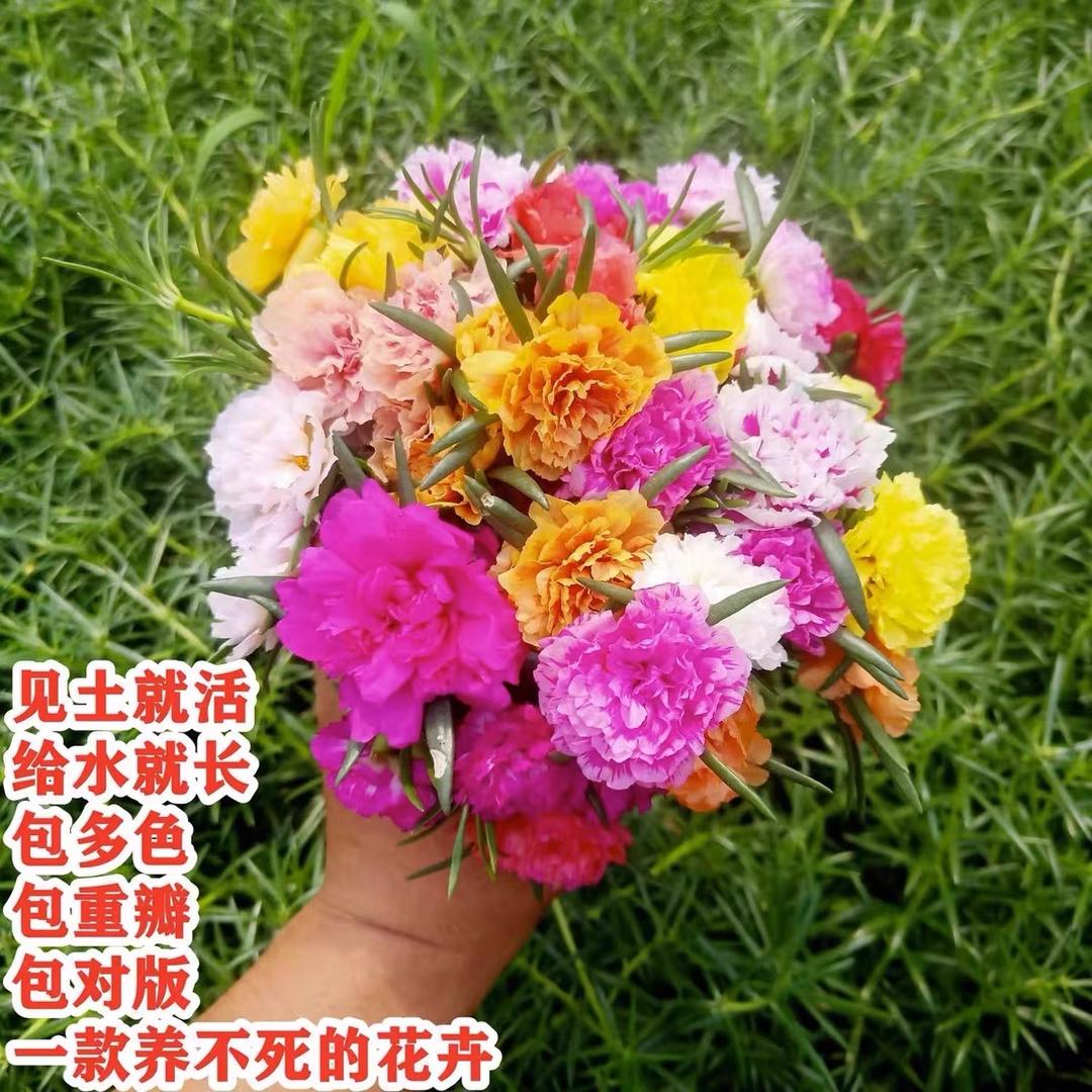 香满经