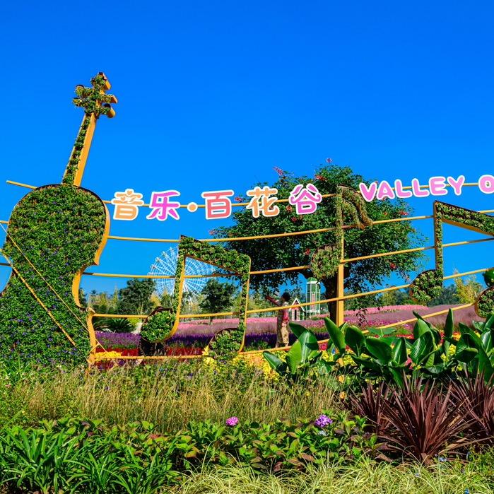 音乐百花谷宠粉号