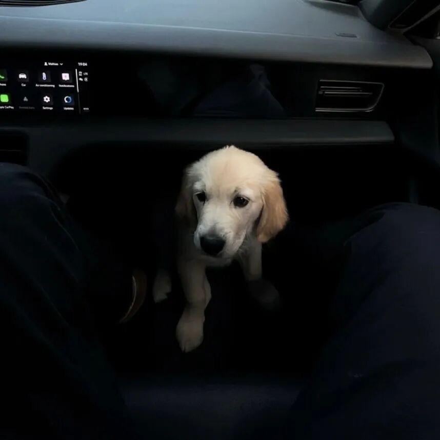 知恩不报非君子