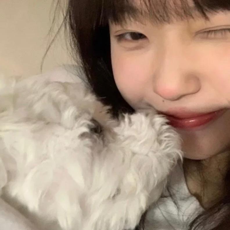 鲨鱼de角