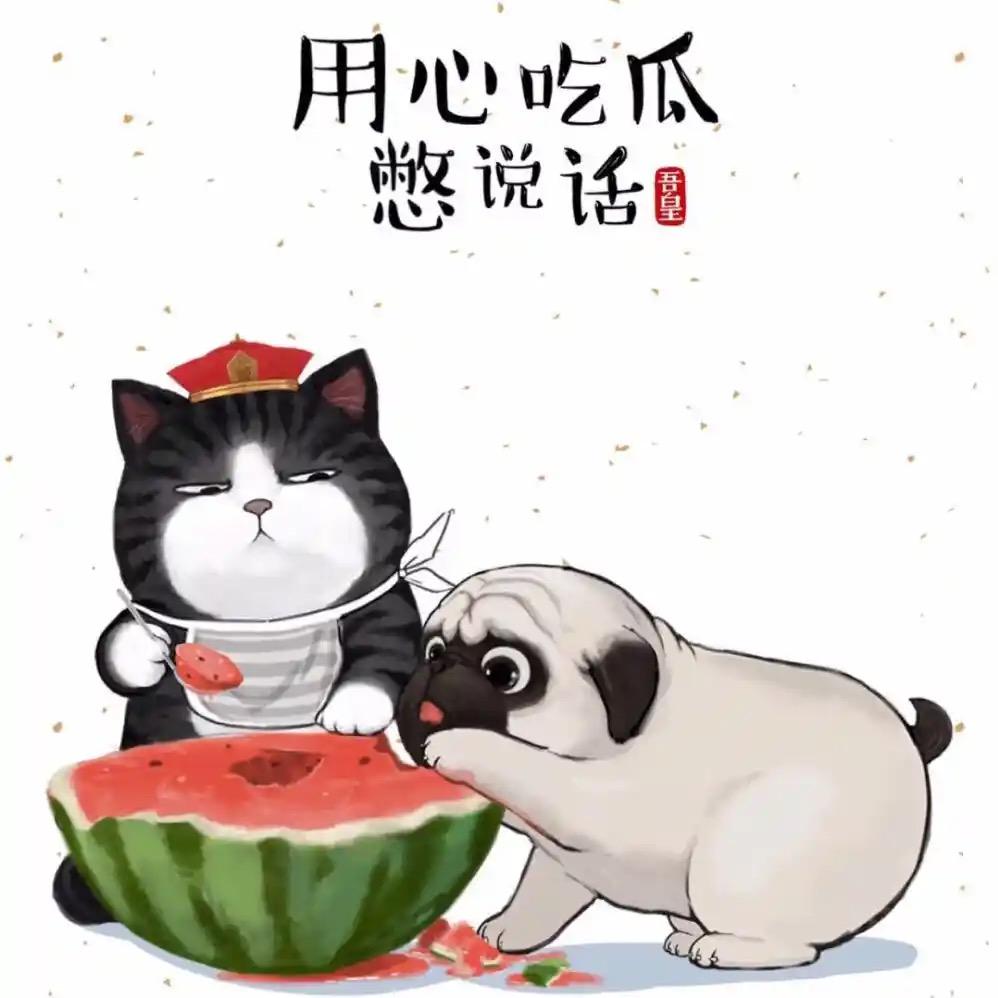 开心过完每一天
