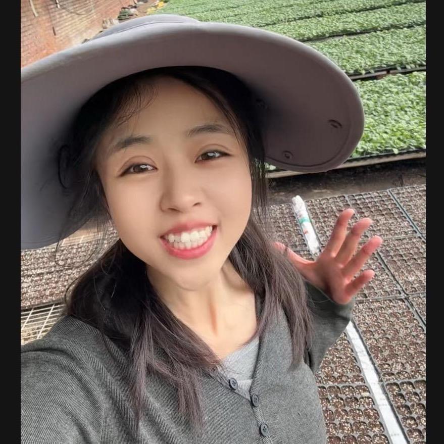 鞠畅