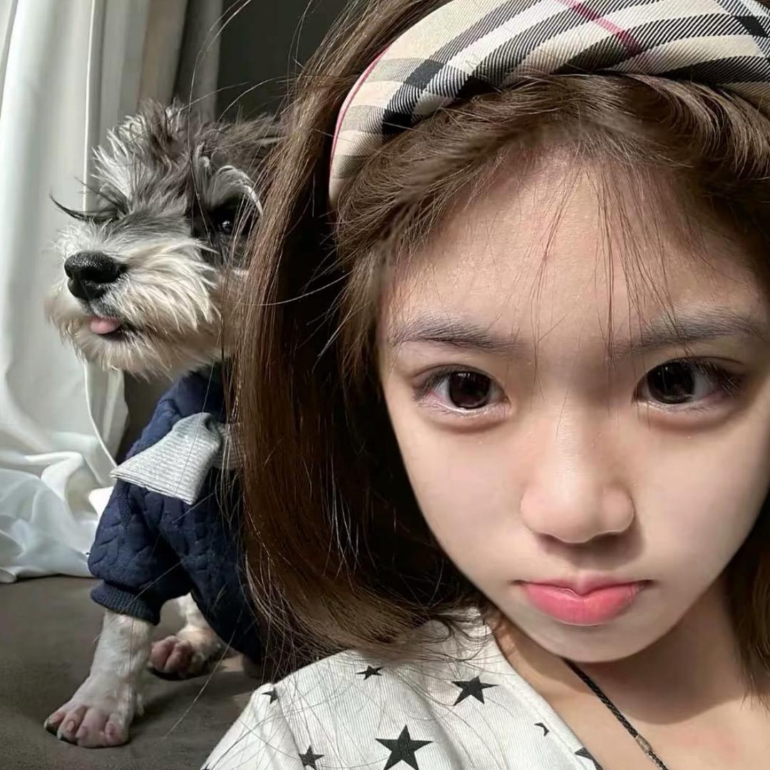 ︋︋︋︋︋   ㅤㅤㅤㅤ