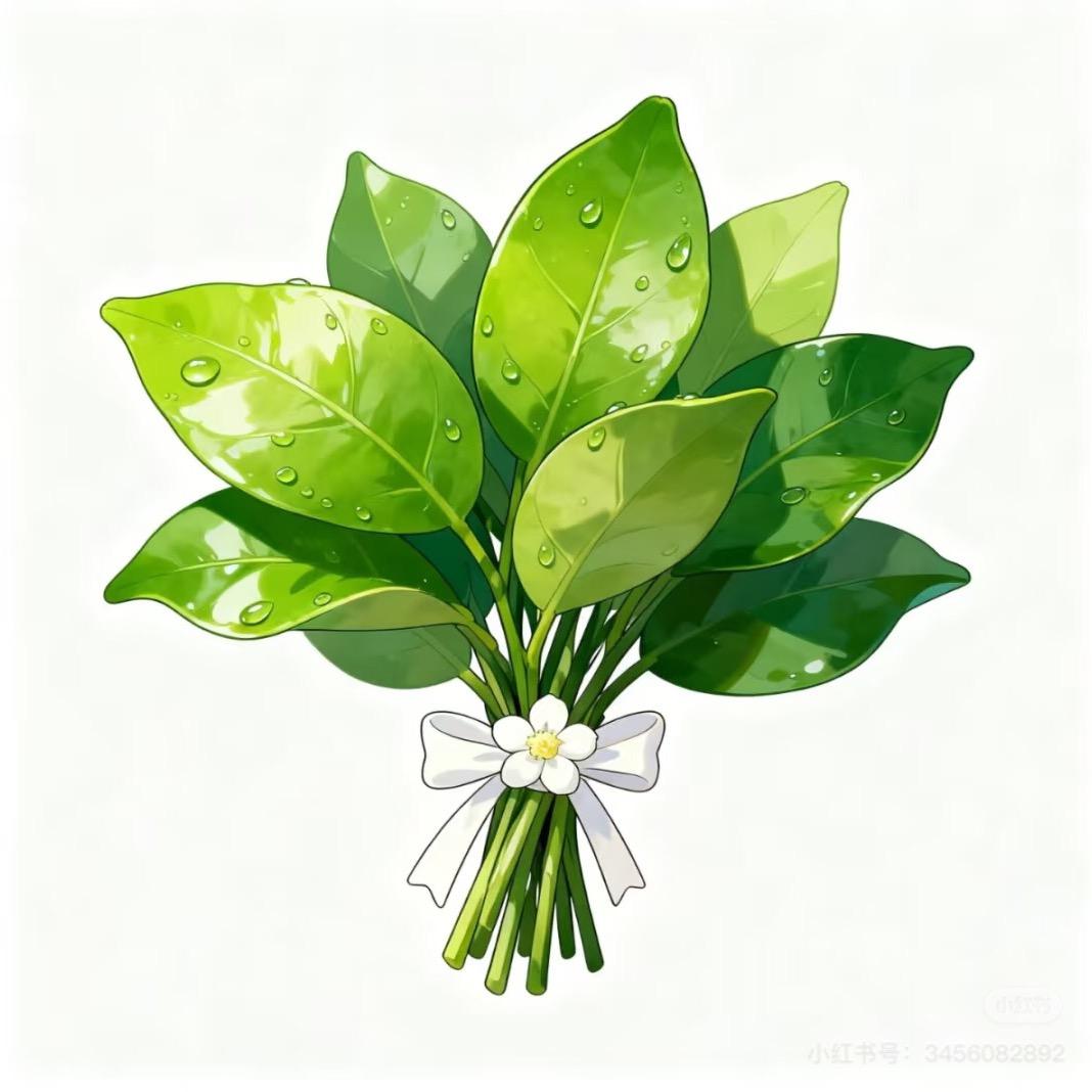 邦邦两拳 ˙Ⱉ˙ฅ