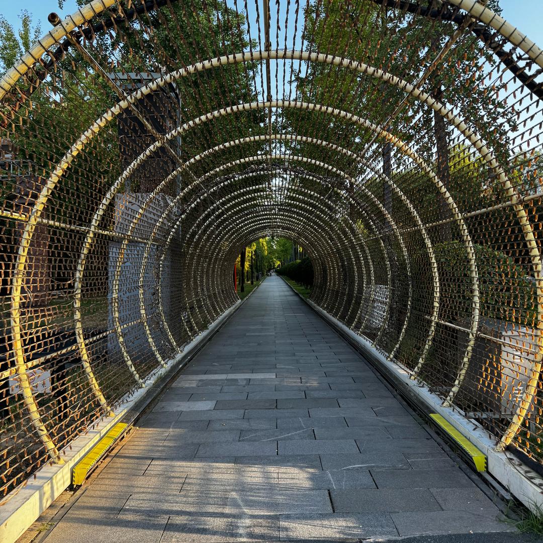 翻滚吧，脂肪！(减到148)