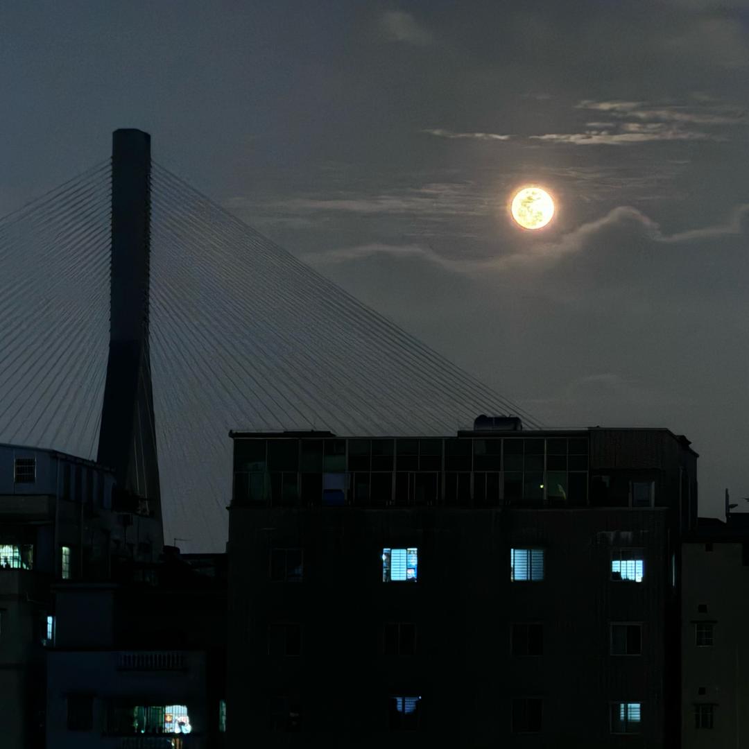 嘁得隆
