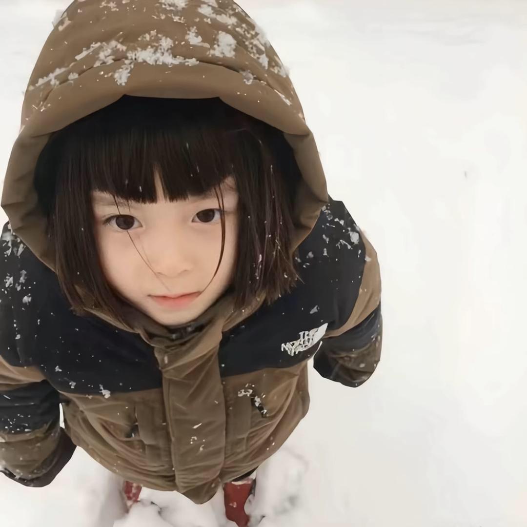 愿愿