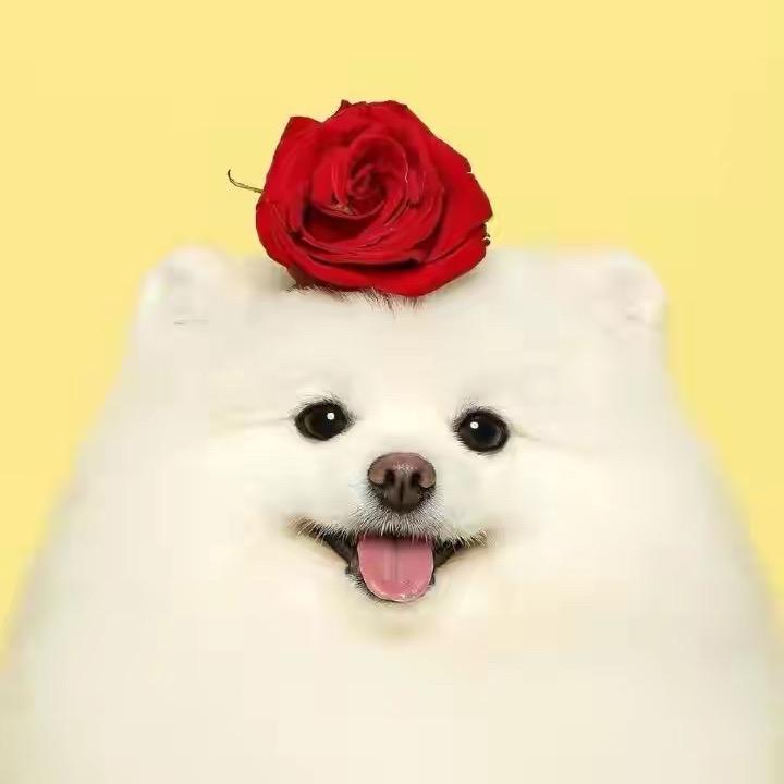 可乐ノ不渴
