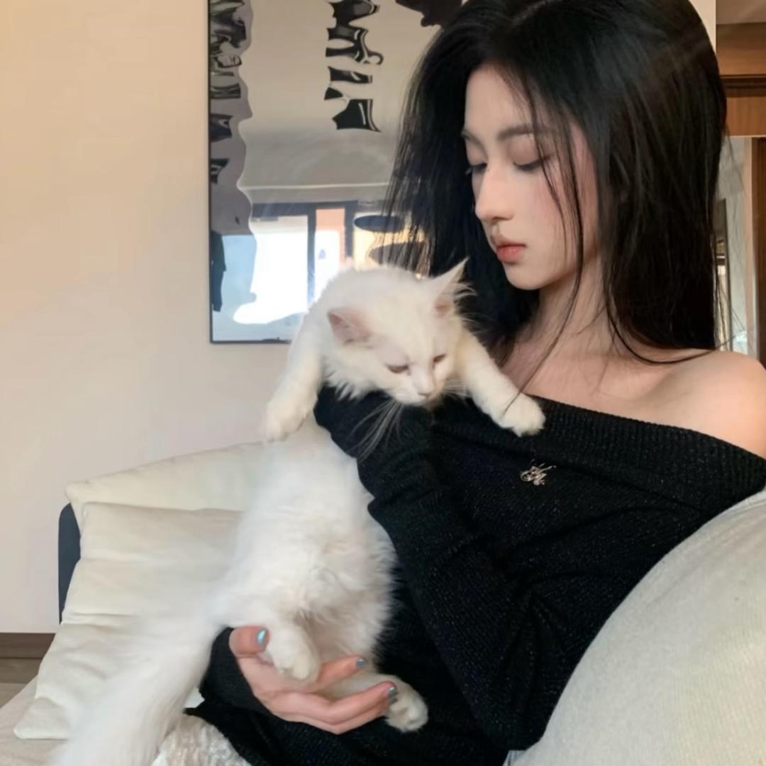 草莓爱吃蛋糕