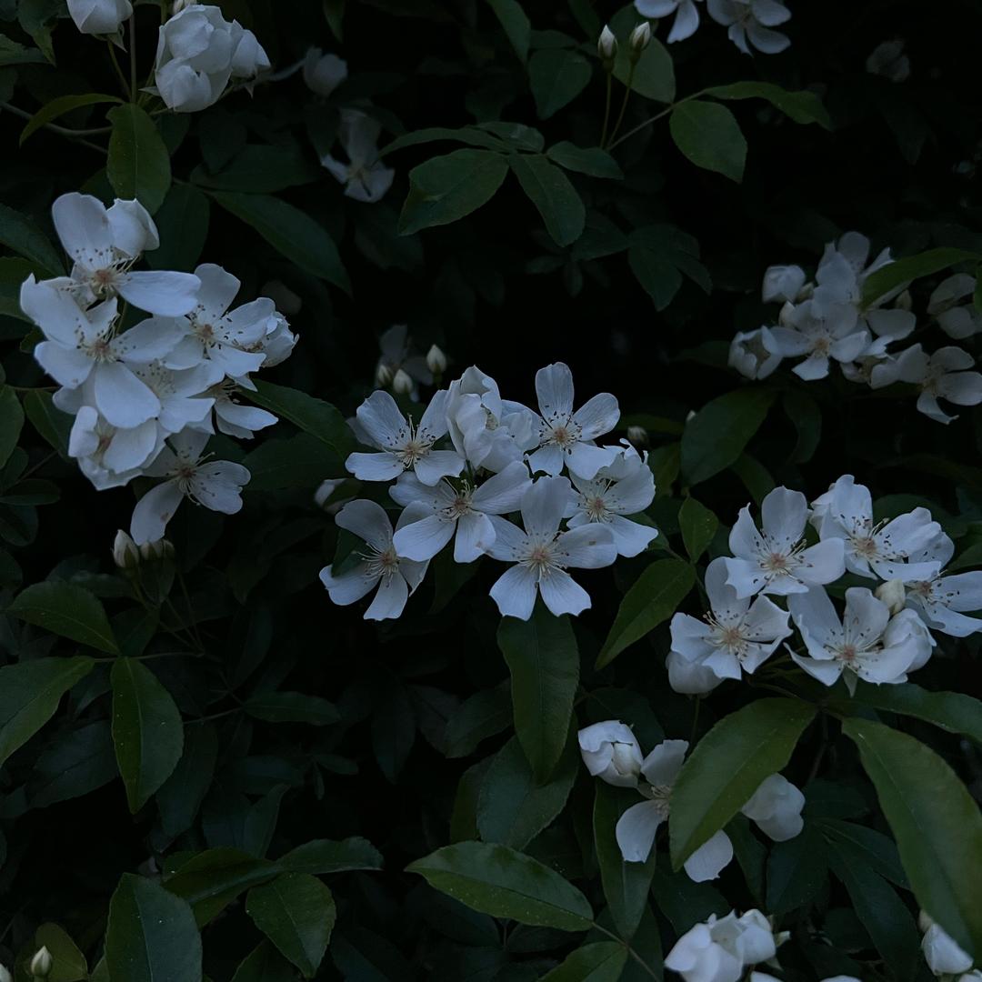 润居城市之家杨经理