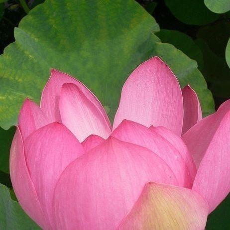 缘起缘
