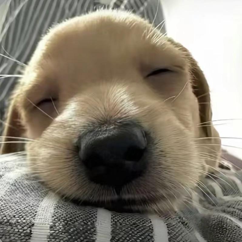 杰瑞