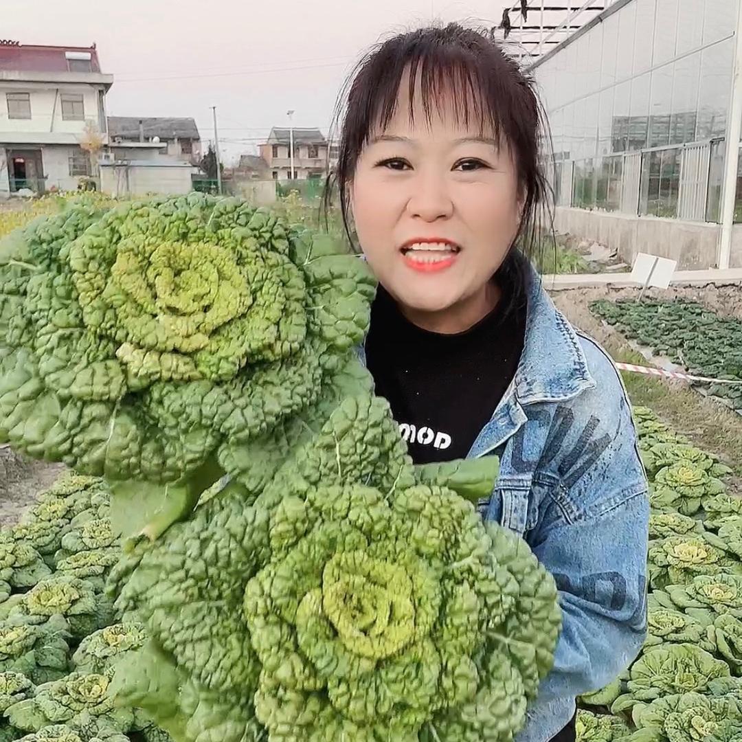 寿信农资