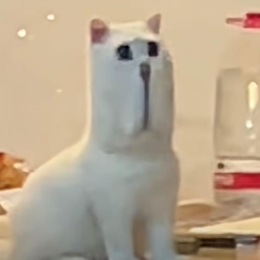 •.•
