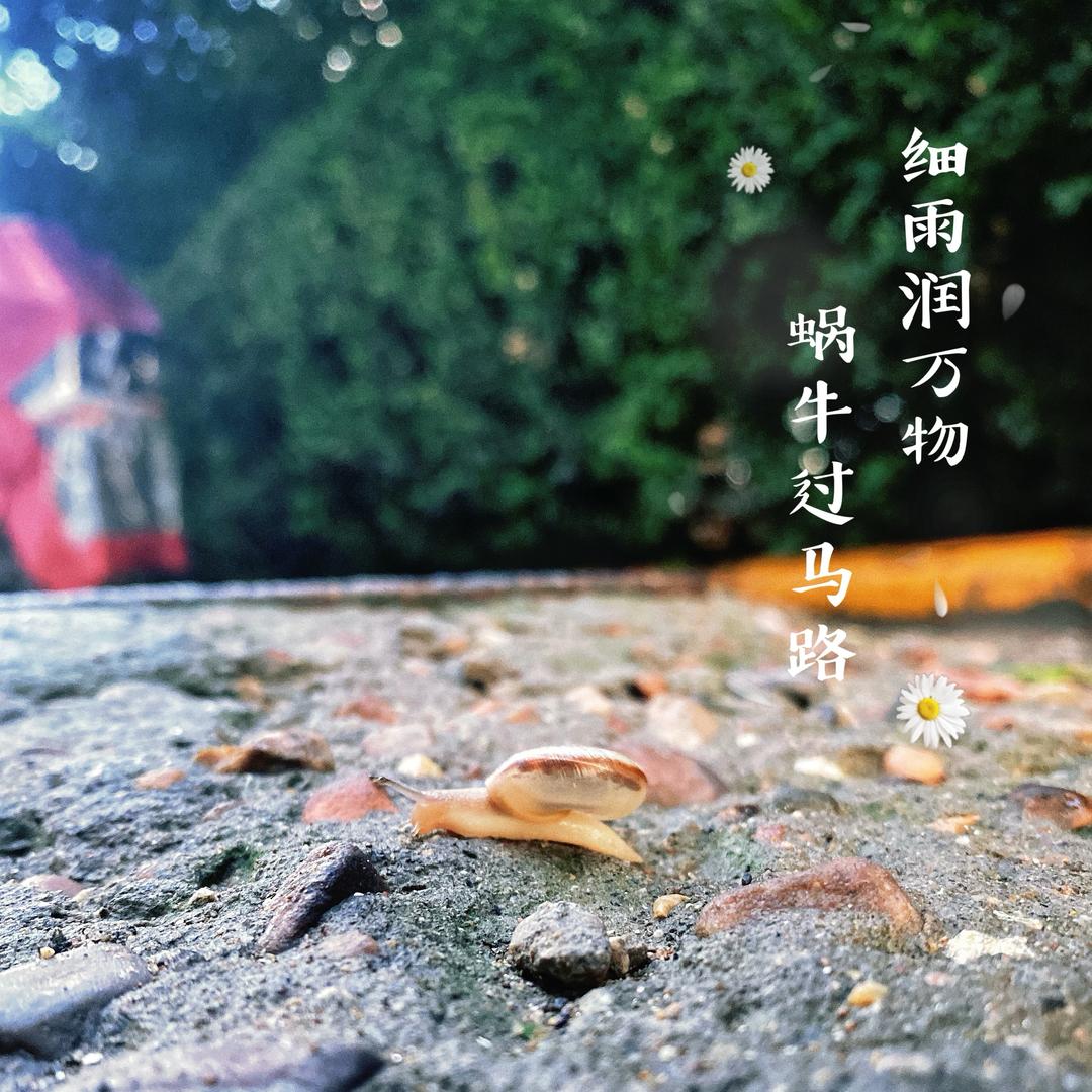 HB-文化