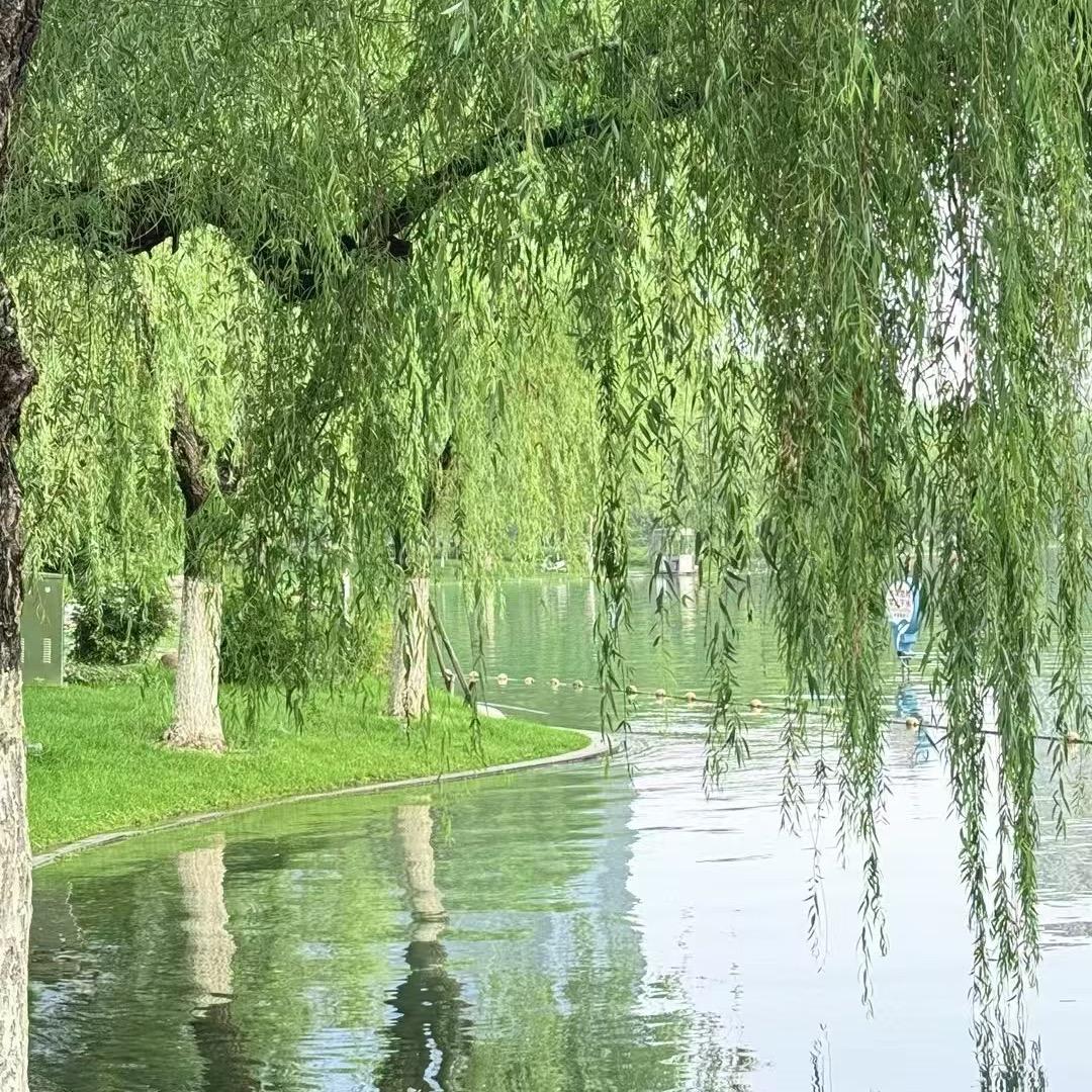 不吃米饭🤨