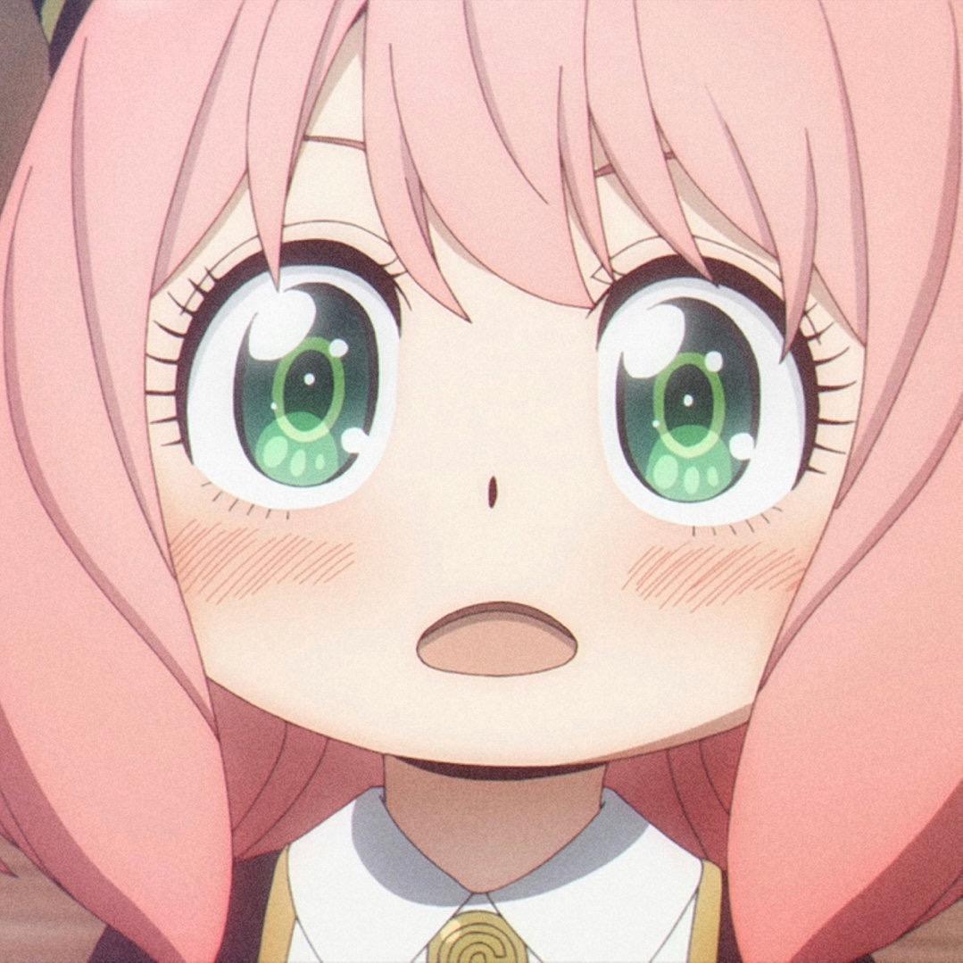 鱼呆呆不呆
