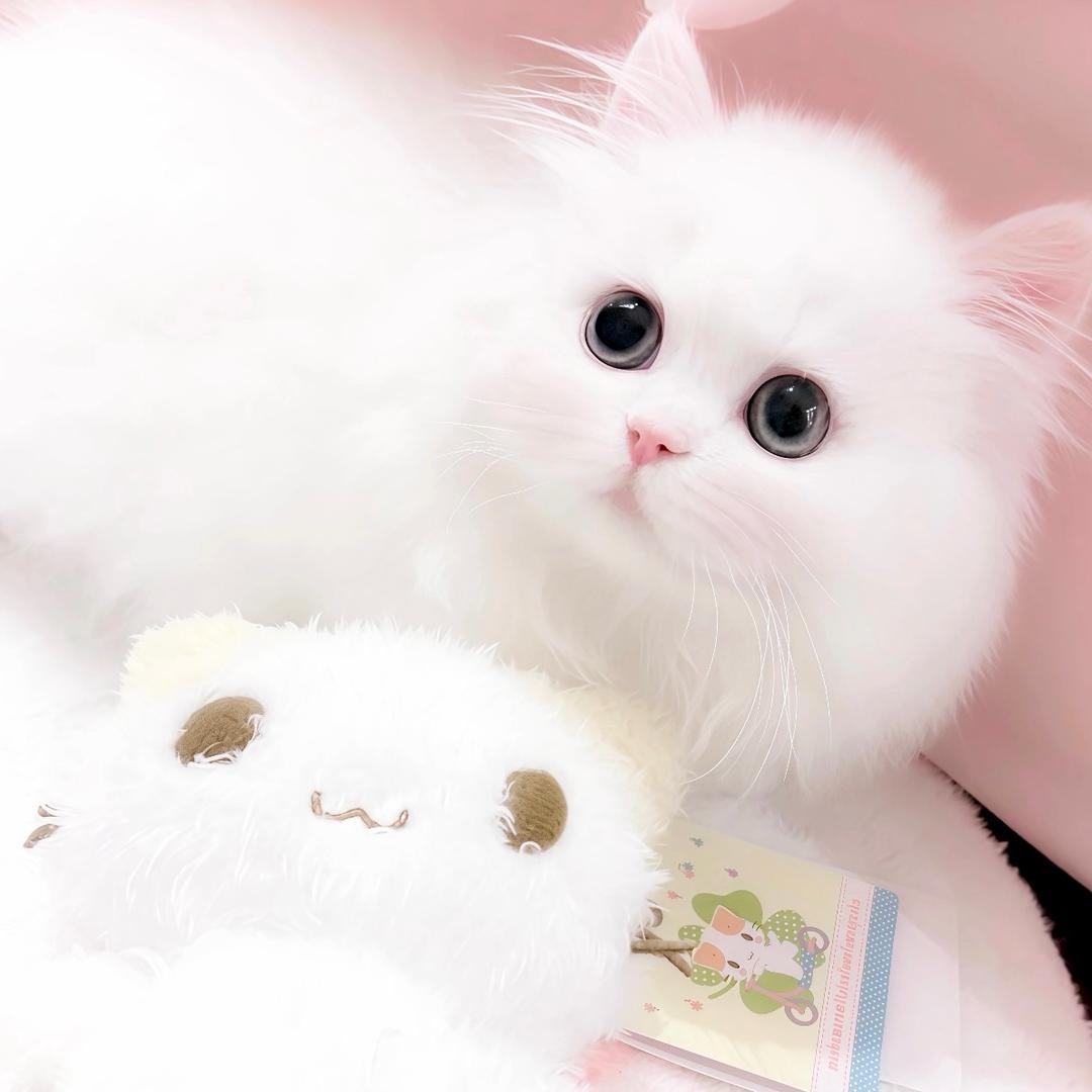 西瓜地里的农夫📚💤