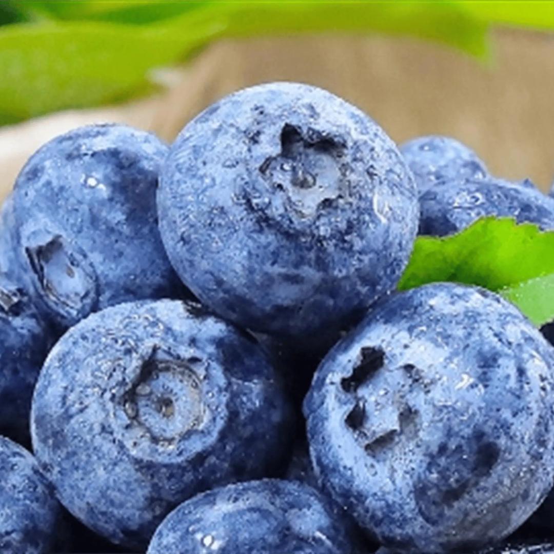 秋夫人超级供应链