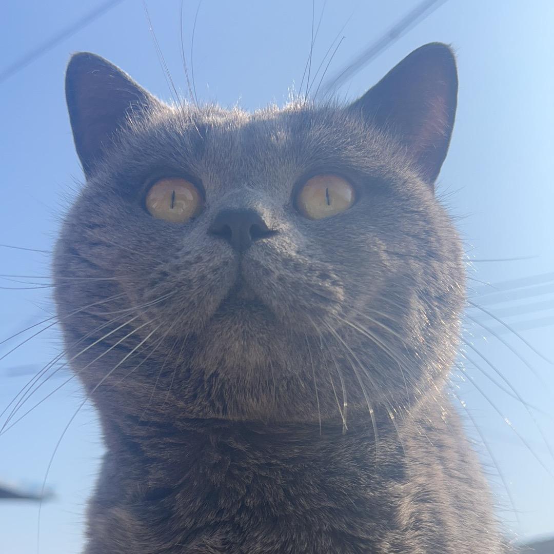 顺其自然