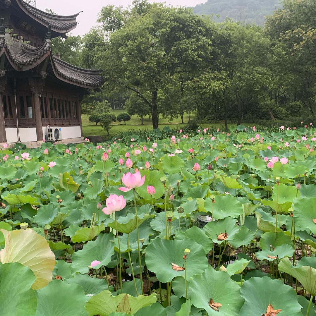 通广📡网络🛜机电📸消防🧯