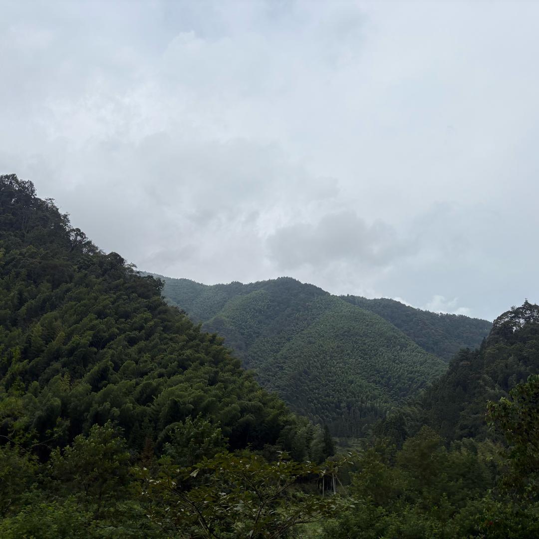 牛洞岩水养鱼哥