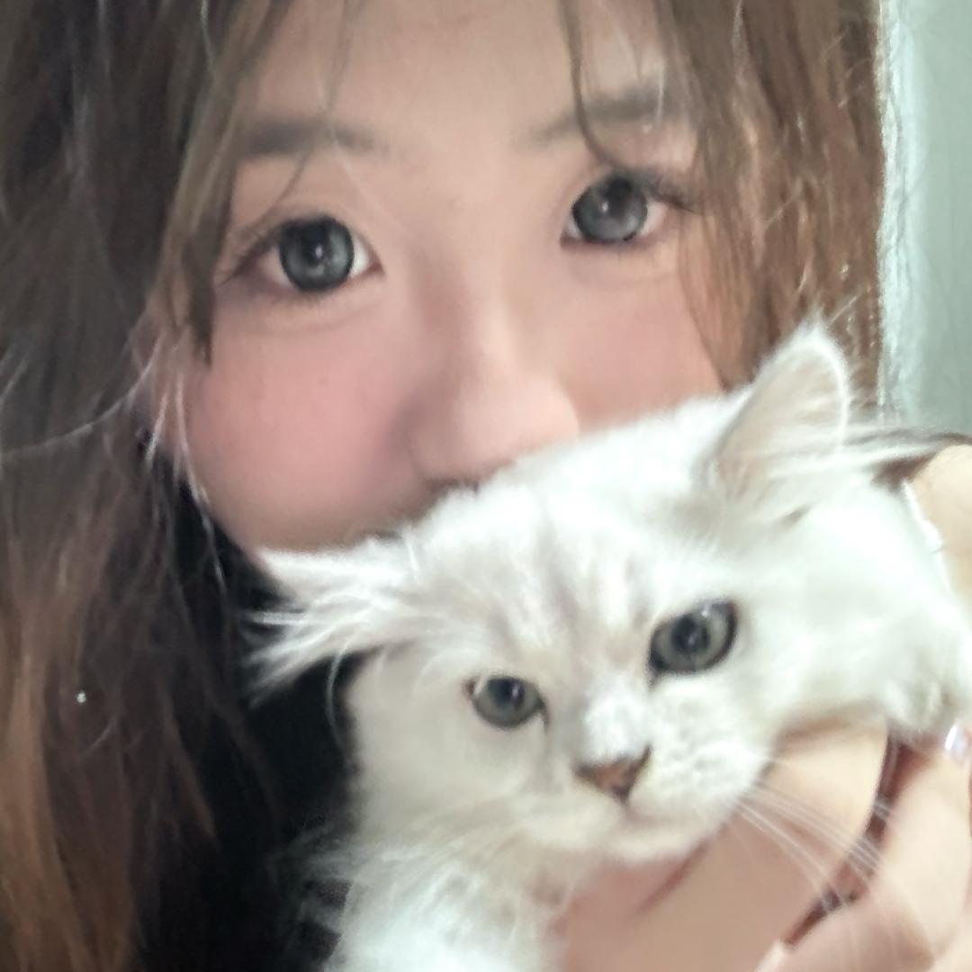 盐泽酱
