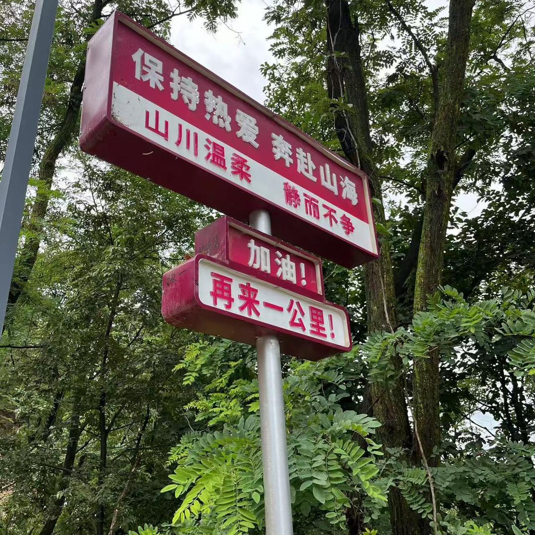 一叶知秋