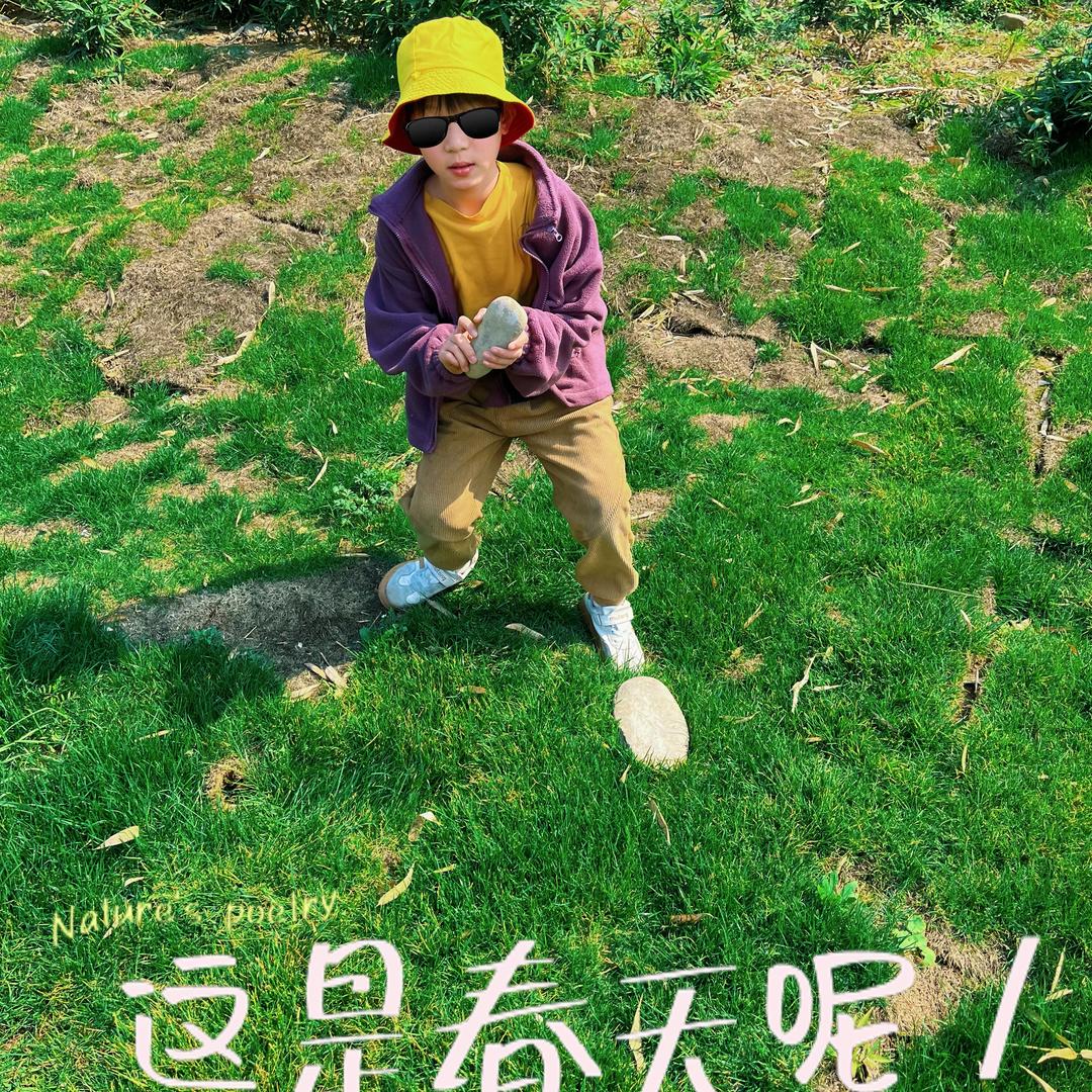 木槿花