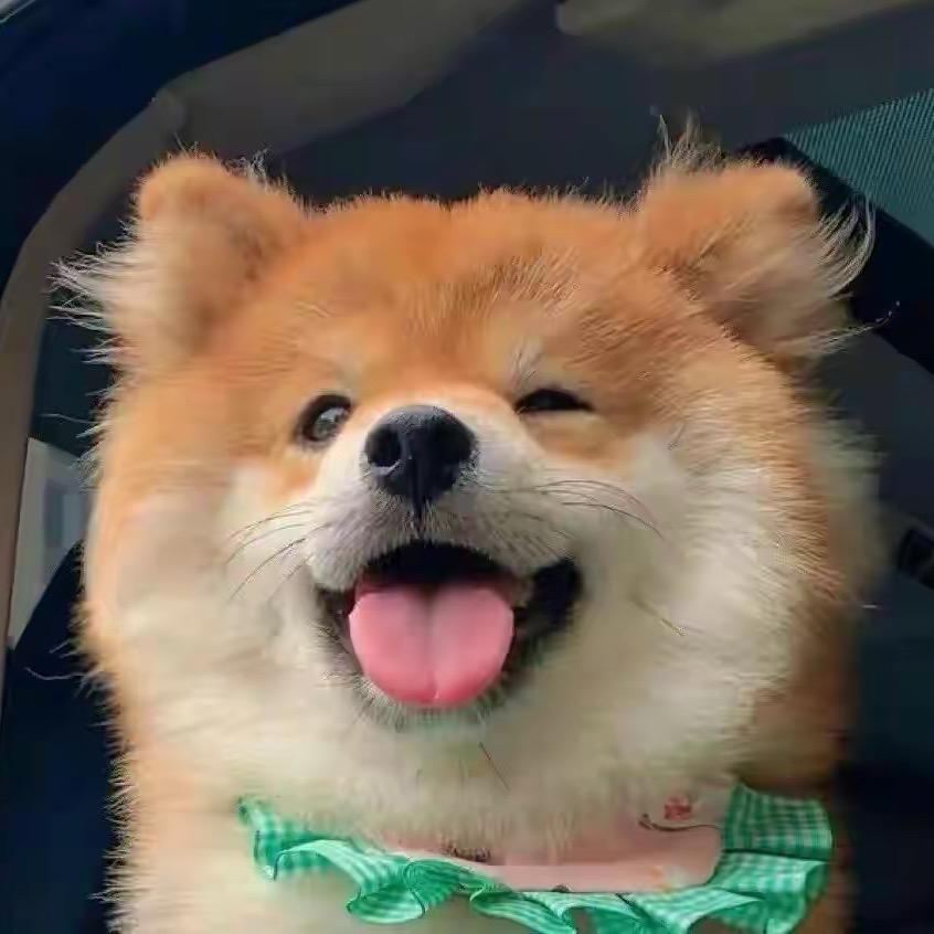 煎饼狗子Ծ ̮ Ծ