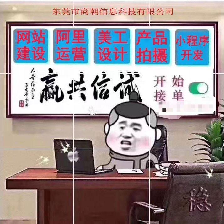 东莞市商朝信息科技有限公司