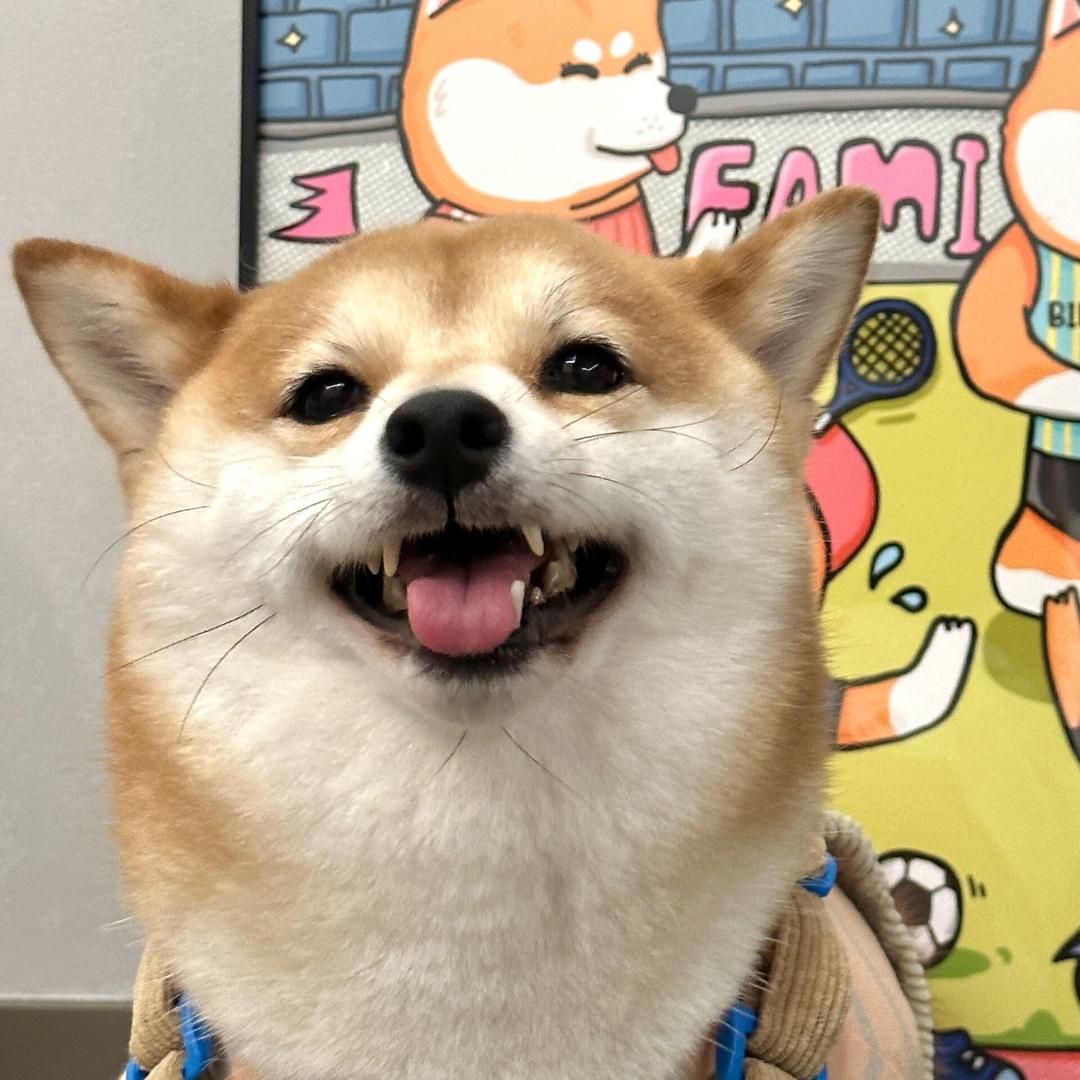 想要早日退休的逗比